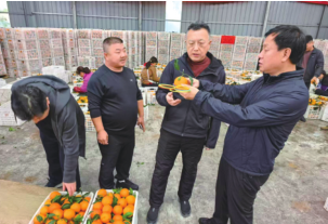 a8c42cb558959af6ad9c55f8267f9e40 问鼎国际(中国区)有限公司 - 官方网站